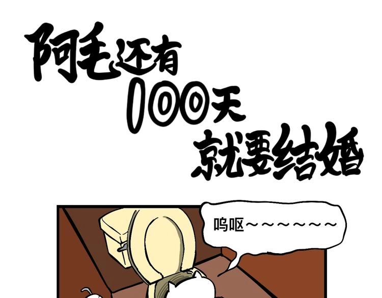 阿毛丧鸽为何决裂？！ 第28页