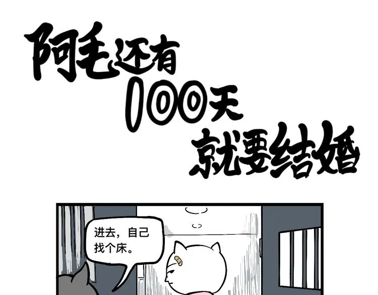 阿毛丧鸽为何决裂？！ 第33页