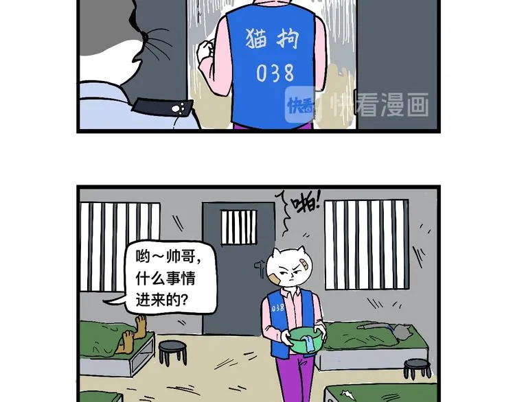 阿毛丧鸽为何决裂？！ 第34页