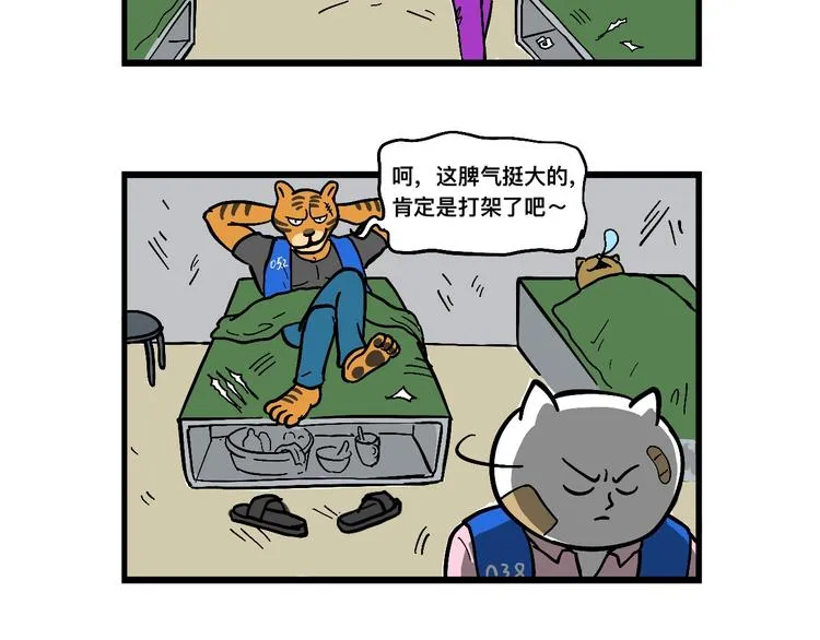 阿毛丧鸽为何决裂？！ 第35页