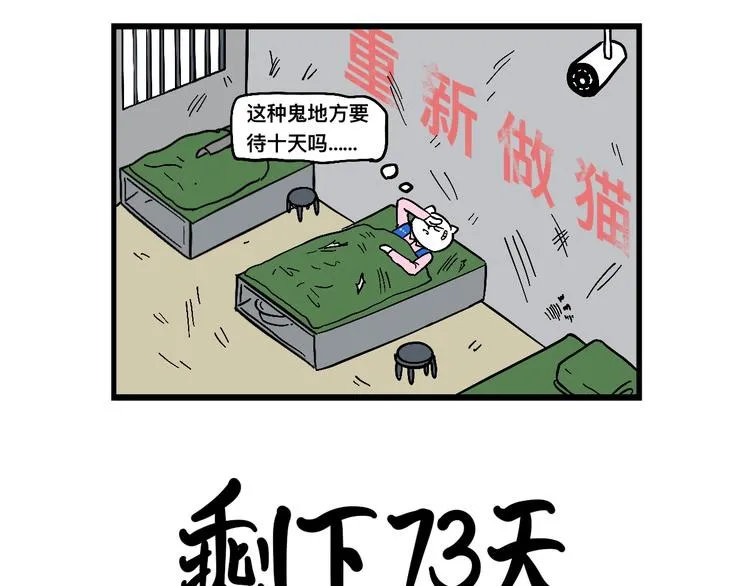 阿毛丧鸽为何决裂？！ 第36页