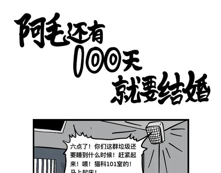 阿毛丧鸽为何决裂？！ 第38页