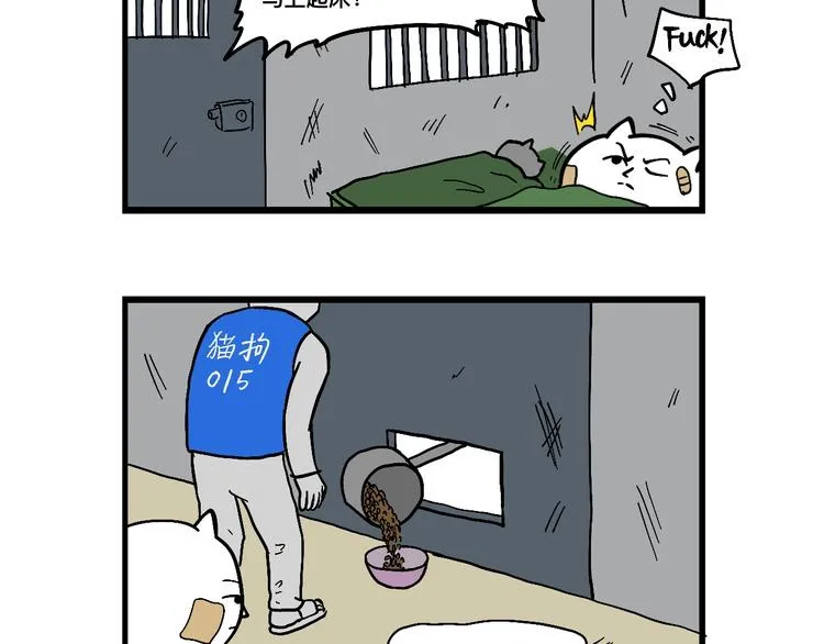 阿毛丧鸽为何决裂？！ 第39页