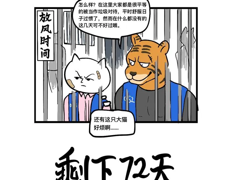阿毛丧鸽为何决裂？！ 第41页