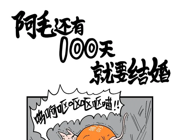 阿毛丧鸽为何决裂？！ 第43页