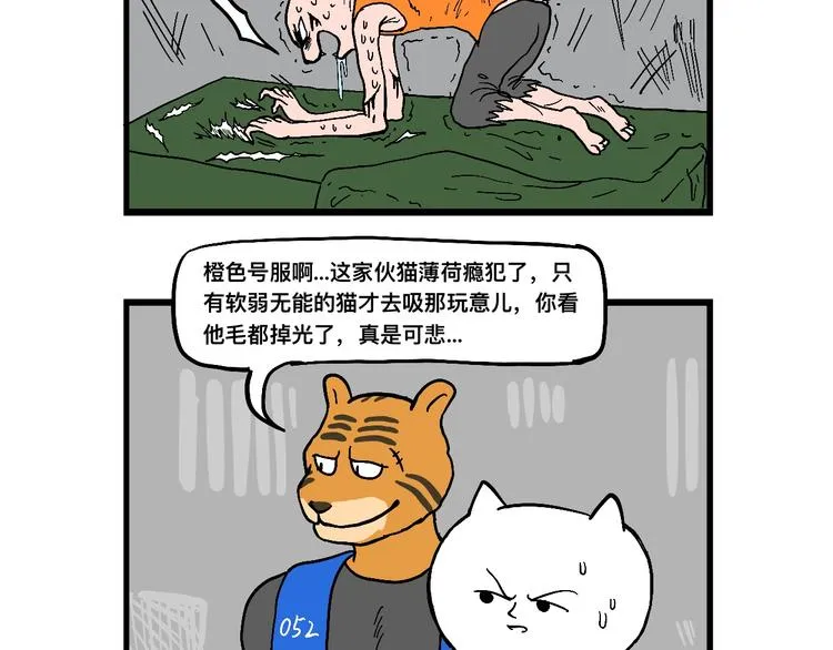 阿毛丧鸽为何决裂？！ 第44页