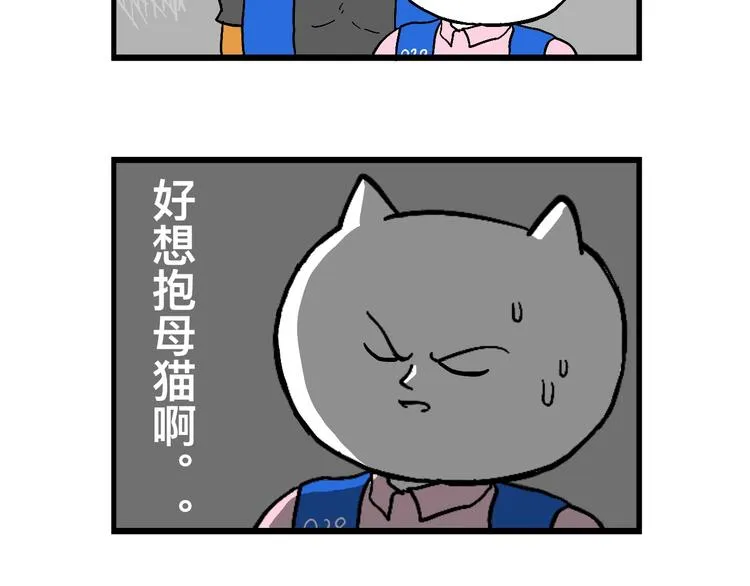 阿毛丧鸽为何决裂？！ 第45页