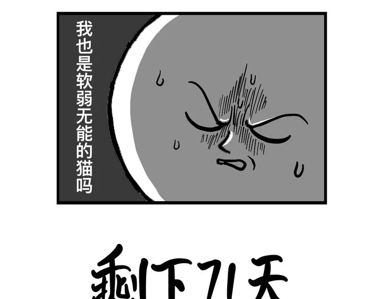 阿毛丧鸽为何决裂？！ 第46页