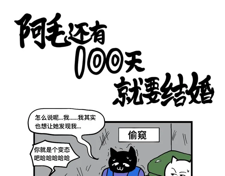 阿毛丧鸽为何决裂？！ 第48页