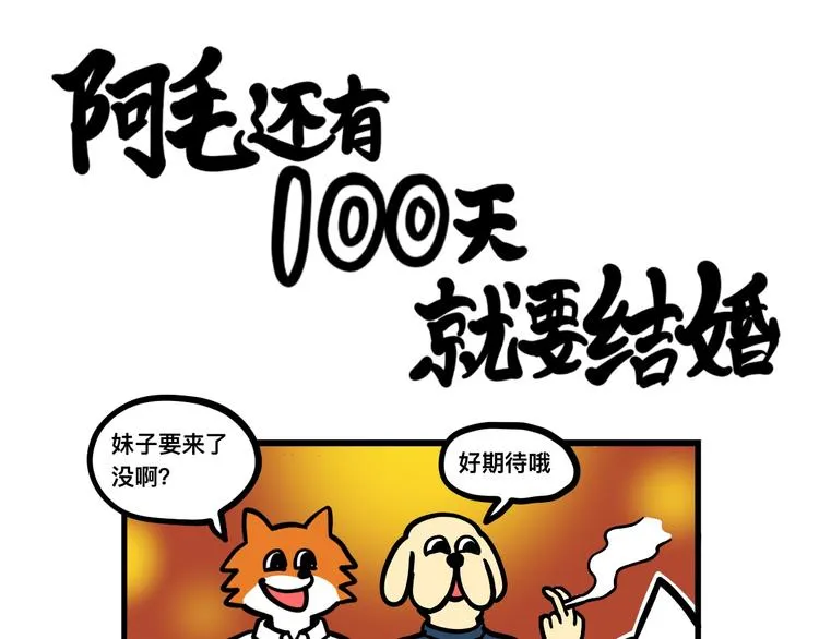 渣男阿毛出没！ 第11页