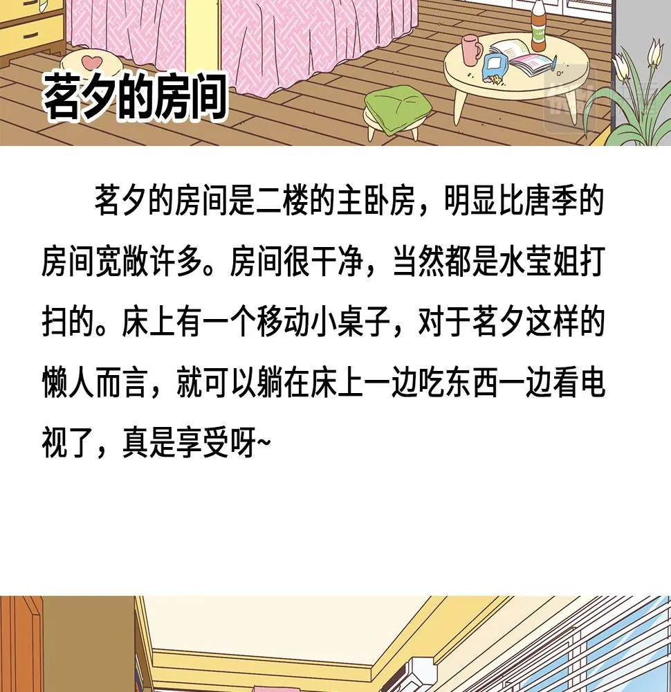 设定与专栏 第28页