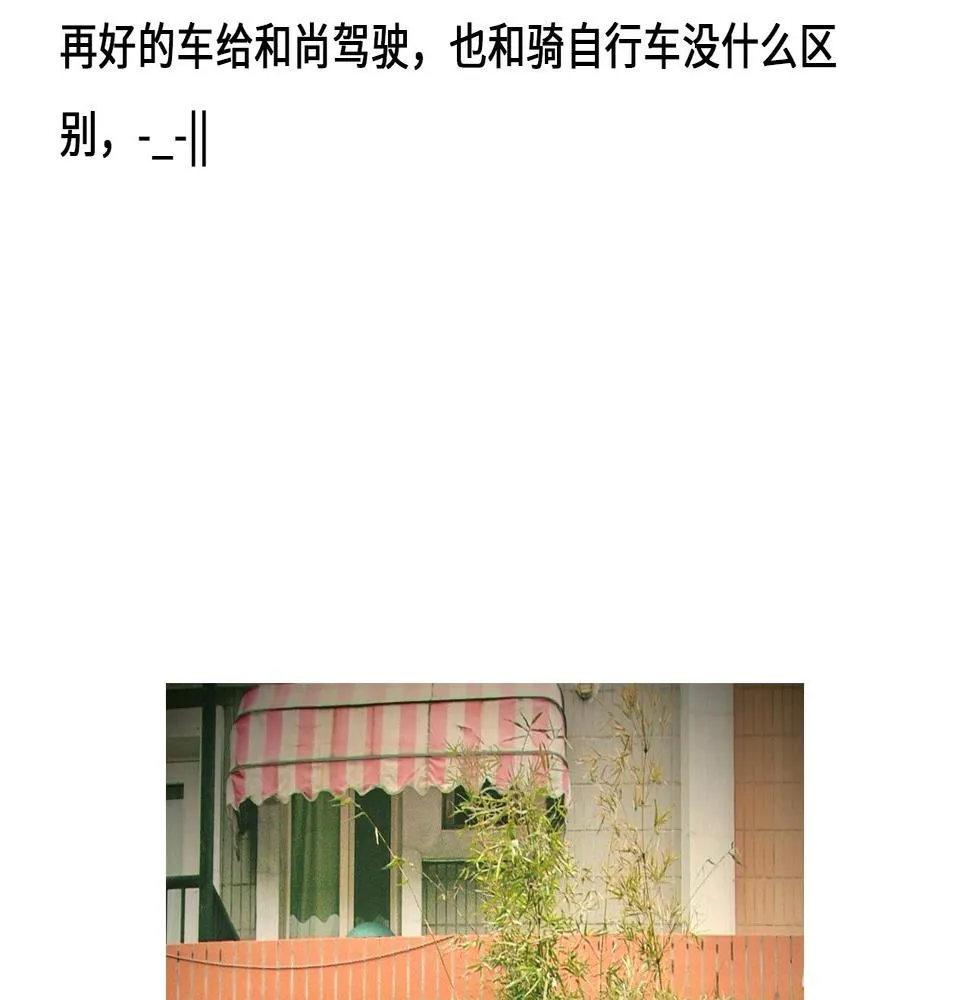 设定与专栏 第36页
