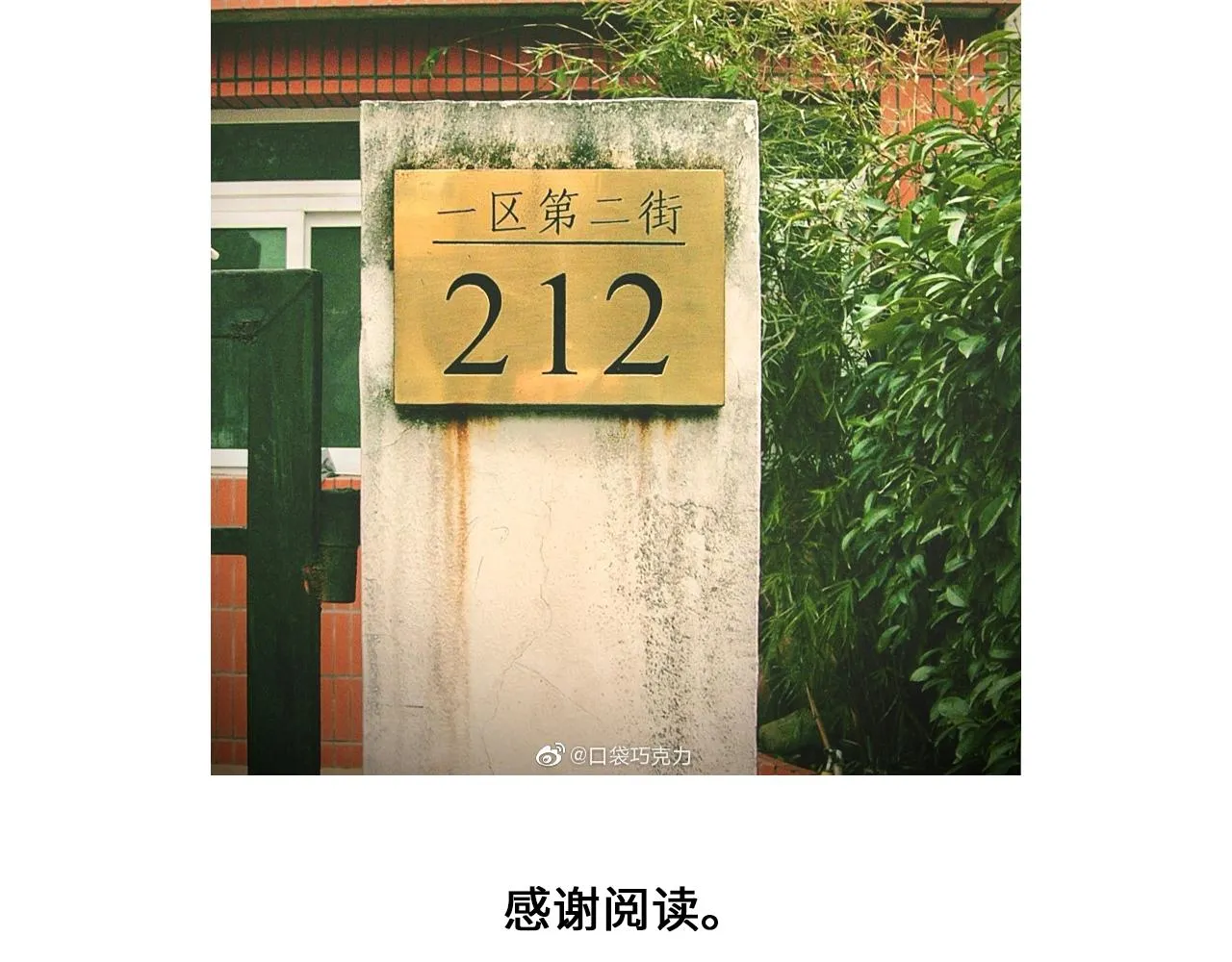 设定与专栏 第37页