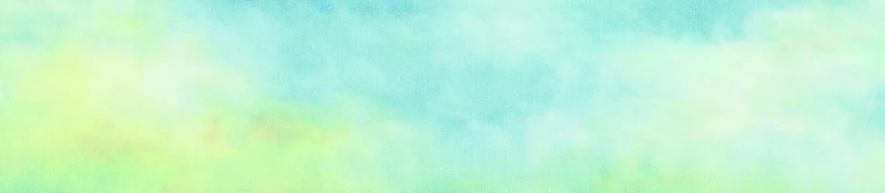 野风筝 第14页