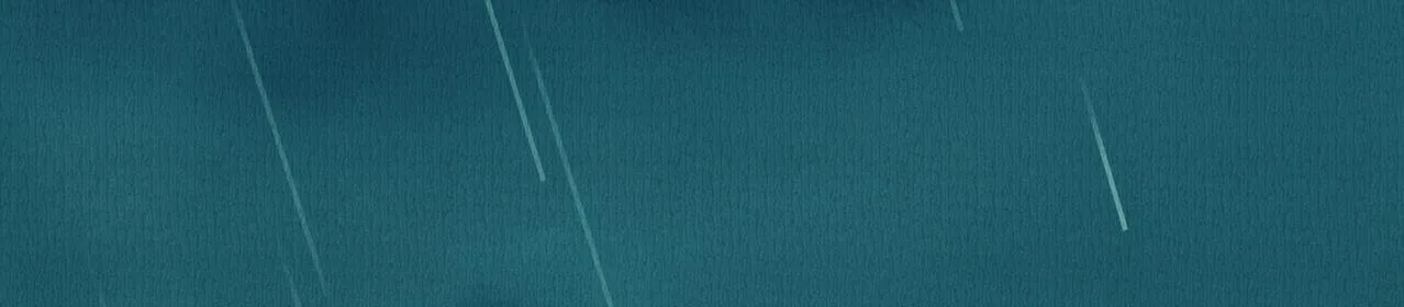 野风筝 第146页
