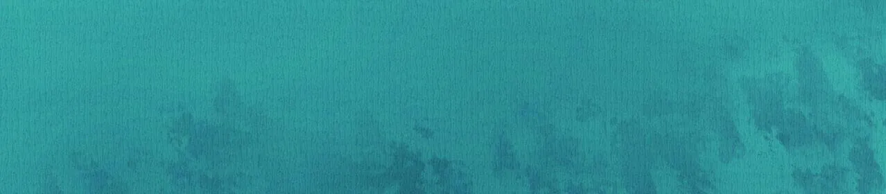 野风筝 第231页