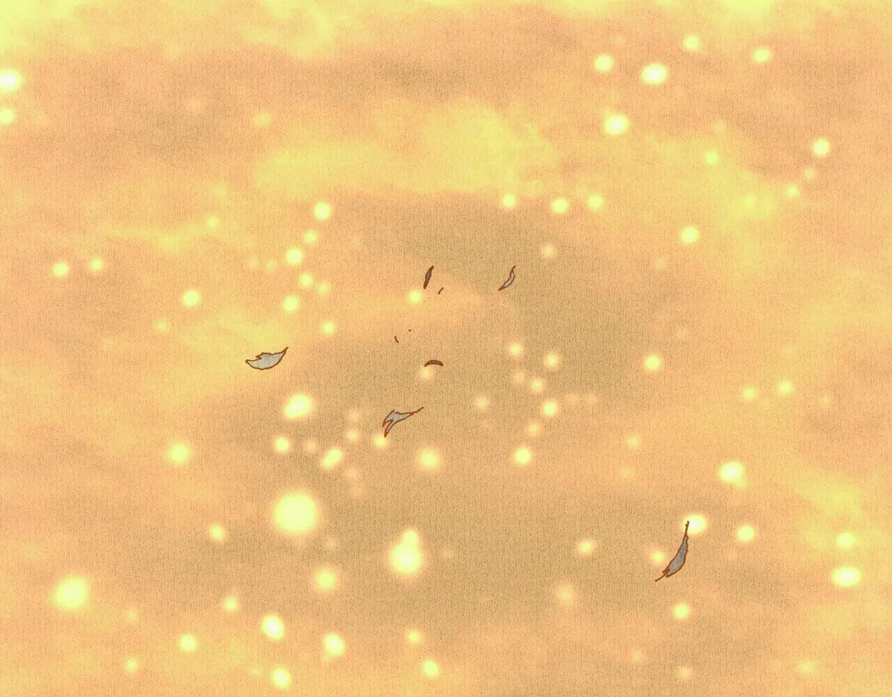 野风筝 第263页