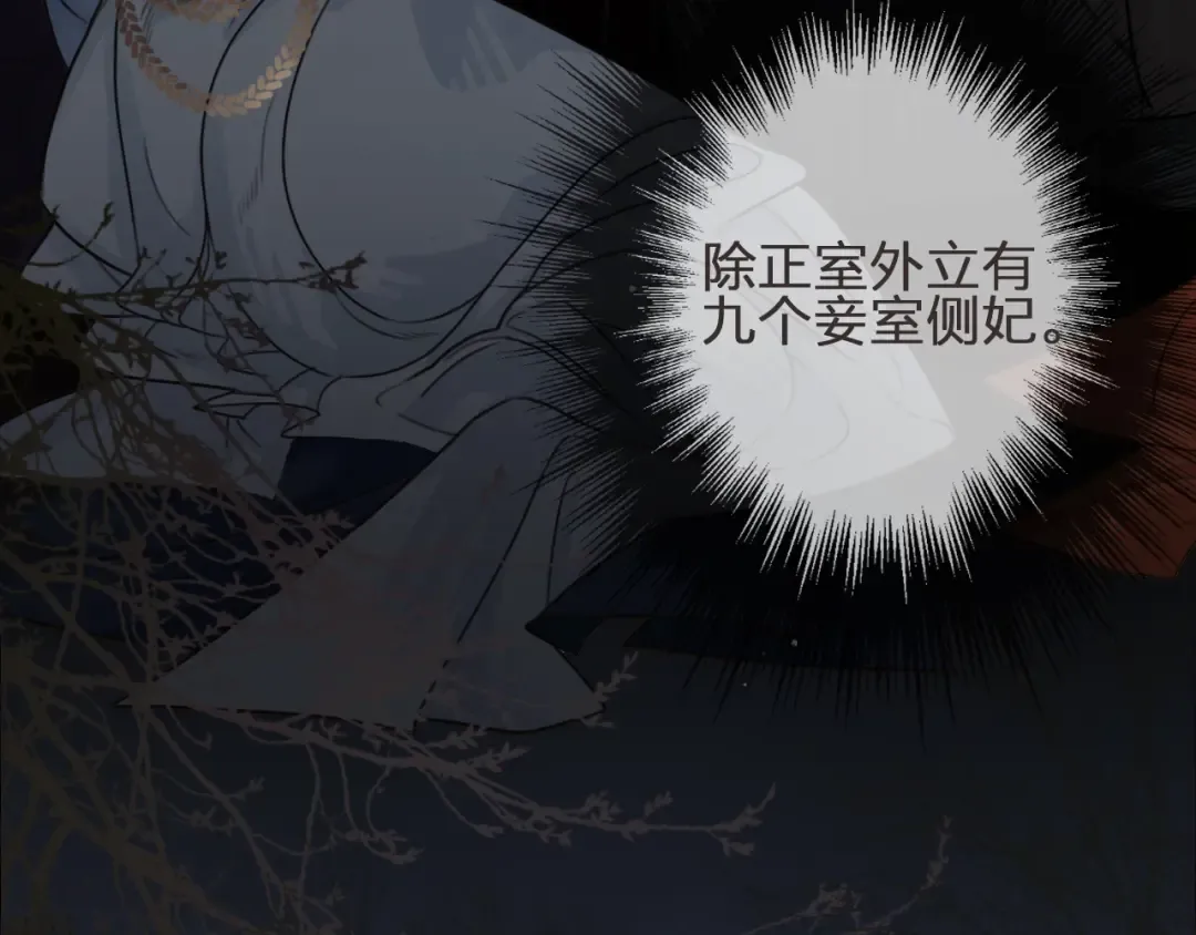 第1话 代嫁哑奴的悲哀 第14页