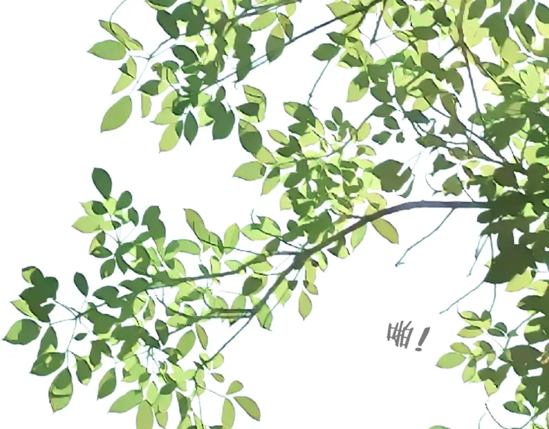 第36话 领罚 第52页