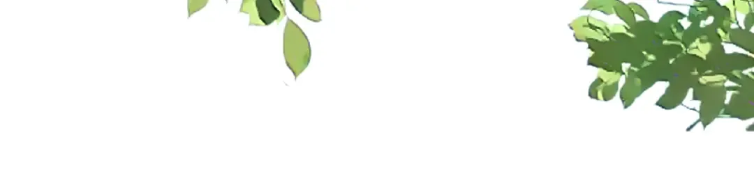 第36话 领罚 第53页