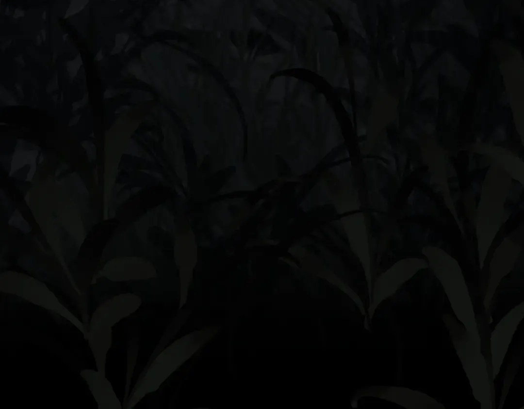 第84话 应许之地 第41页