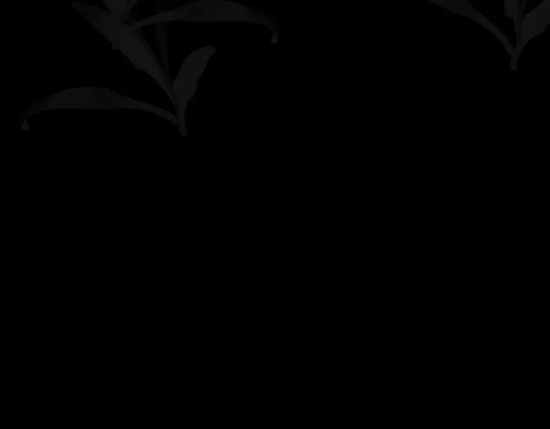 第84话 应许之地 第42页