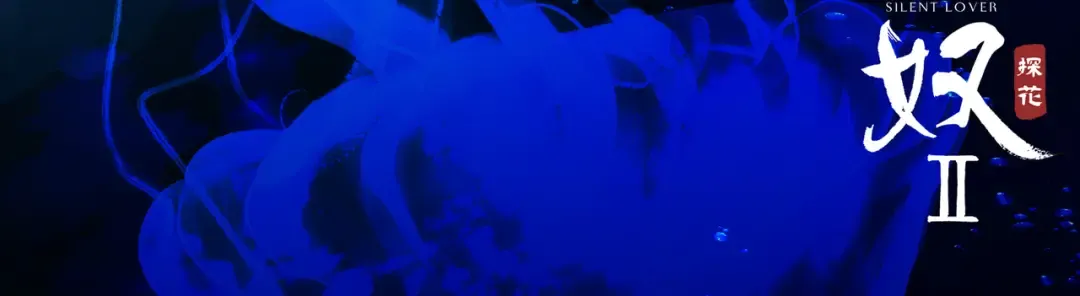 水中月 第8页