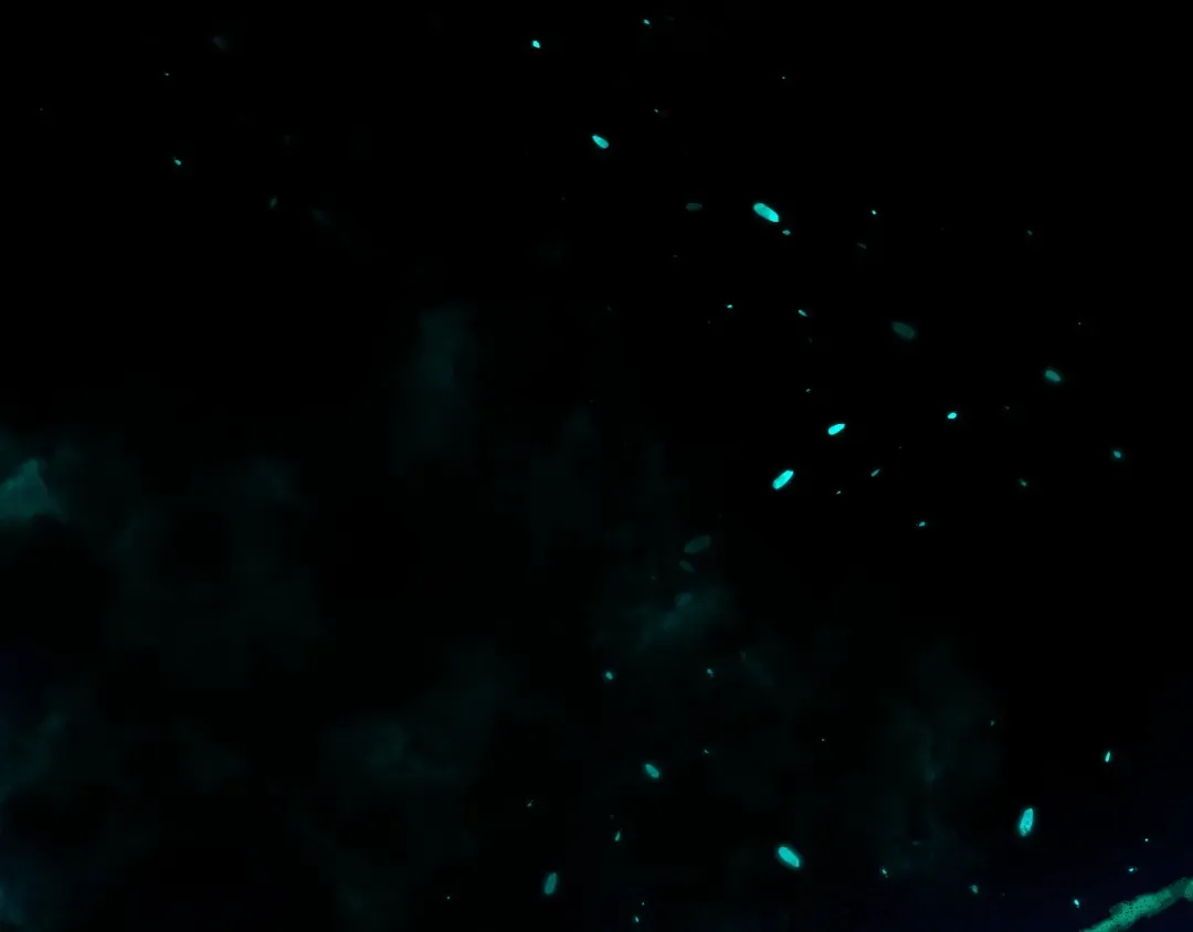 第87话 寒玉台 第126页
