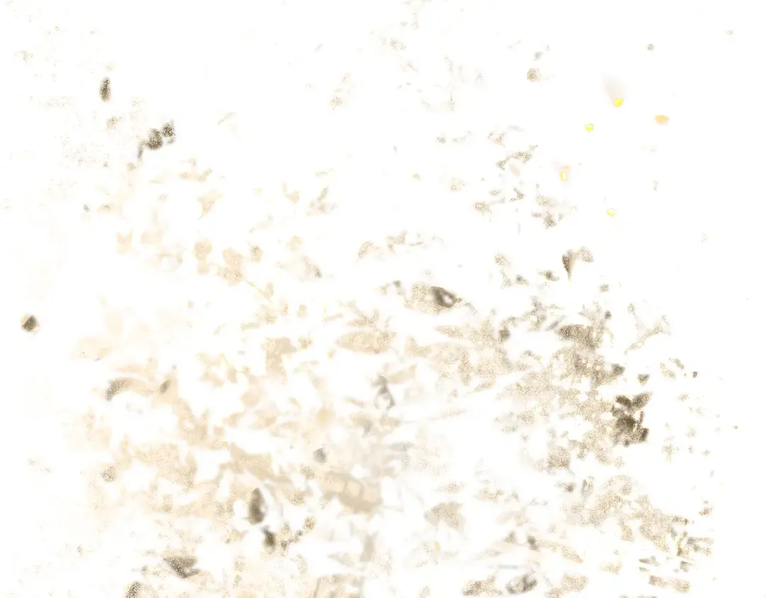 第108话 忍不住想你 第52页