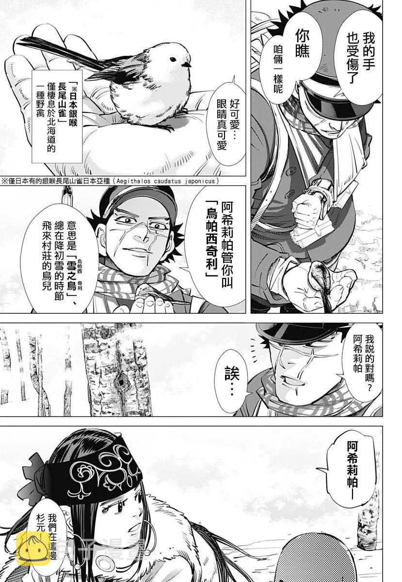 第228话 银喉长尾山雀 第3页