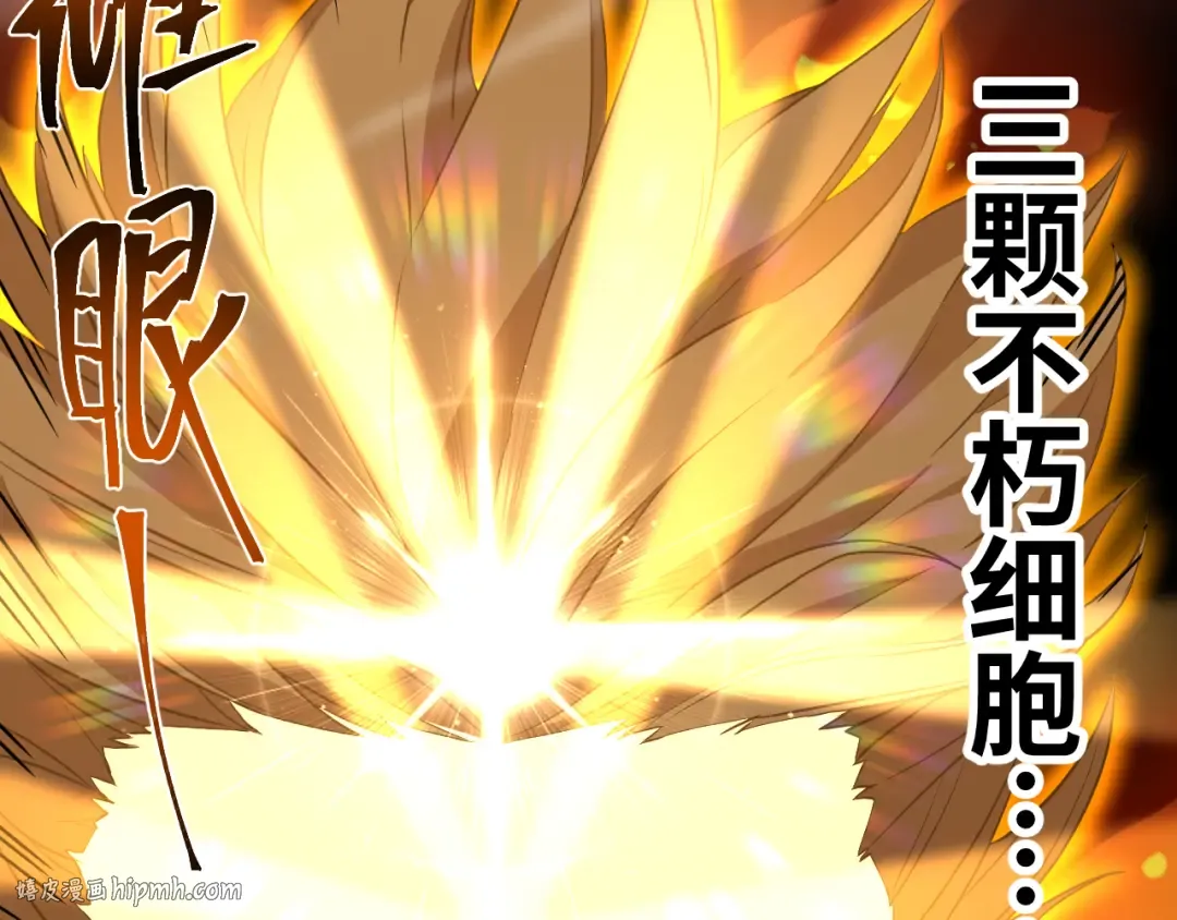 第135话 决斗！ 第216页