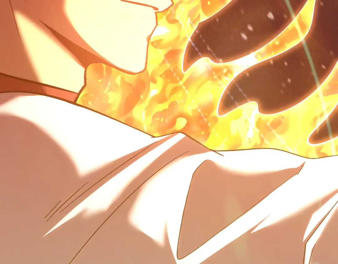 第241话 耀眼 第14页