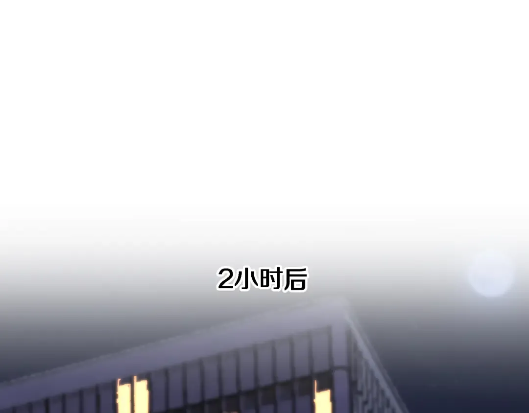 第171 抓捕行动 第91页