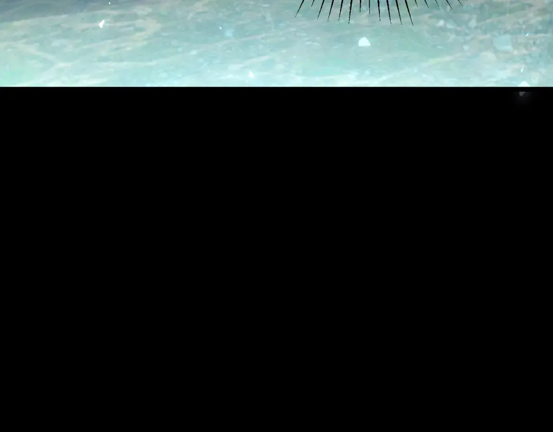 第193话 恶意 第97页
