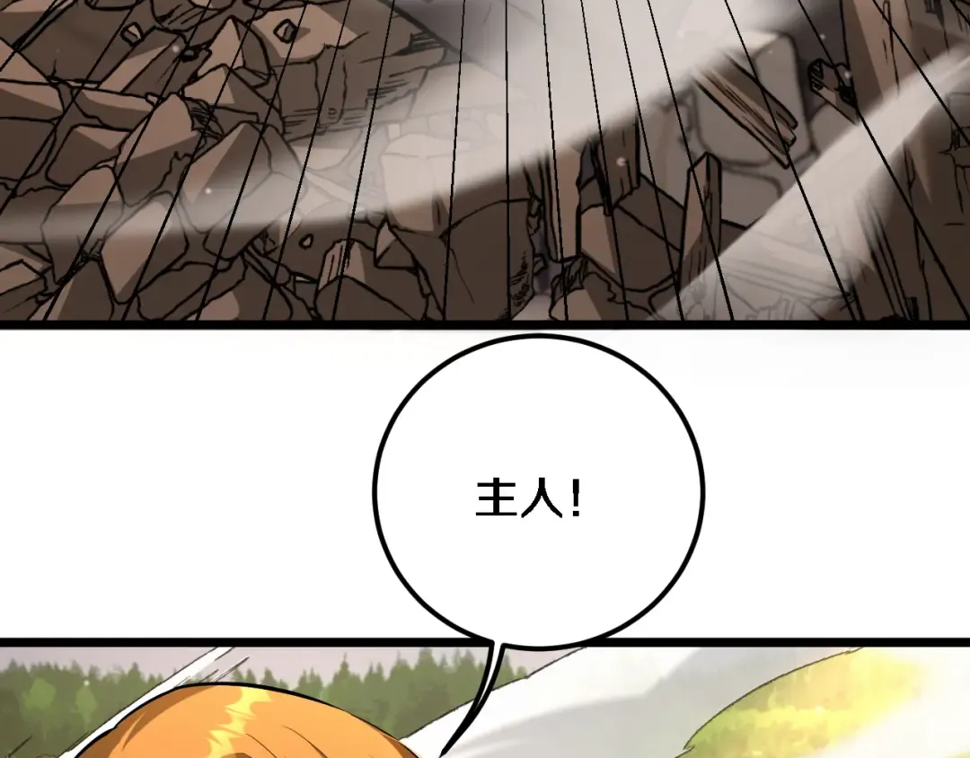 第215话 终结与继承 第19页