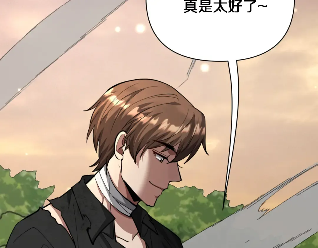 第215话 终结与继承 第91页