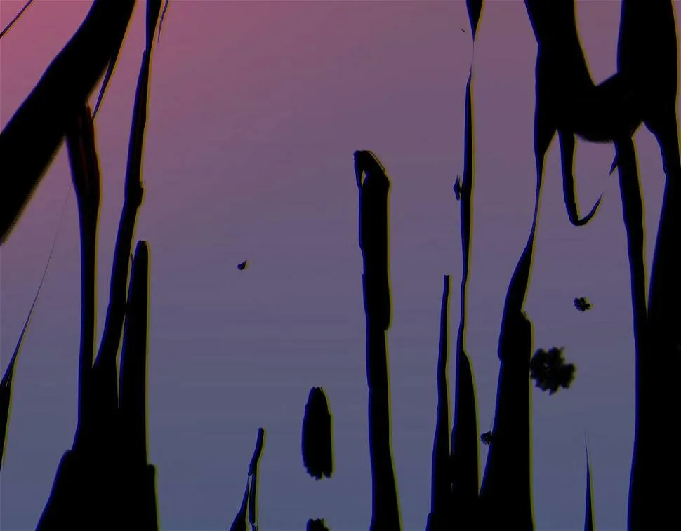 第11话 要战便战 第123页