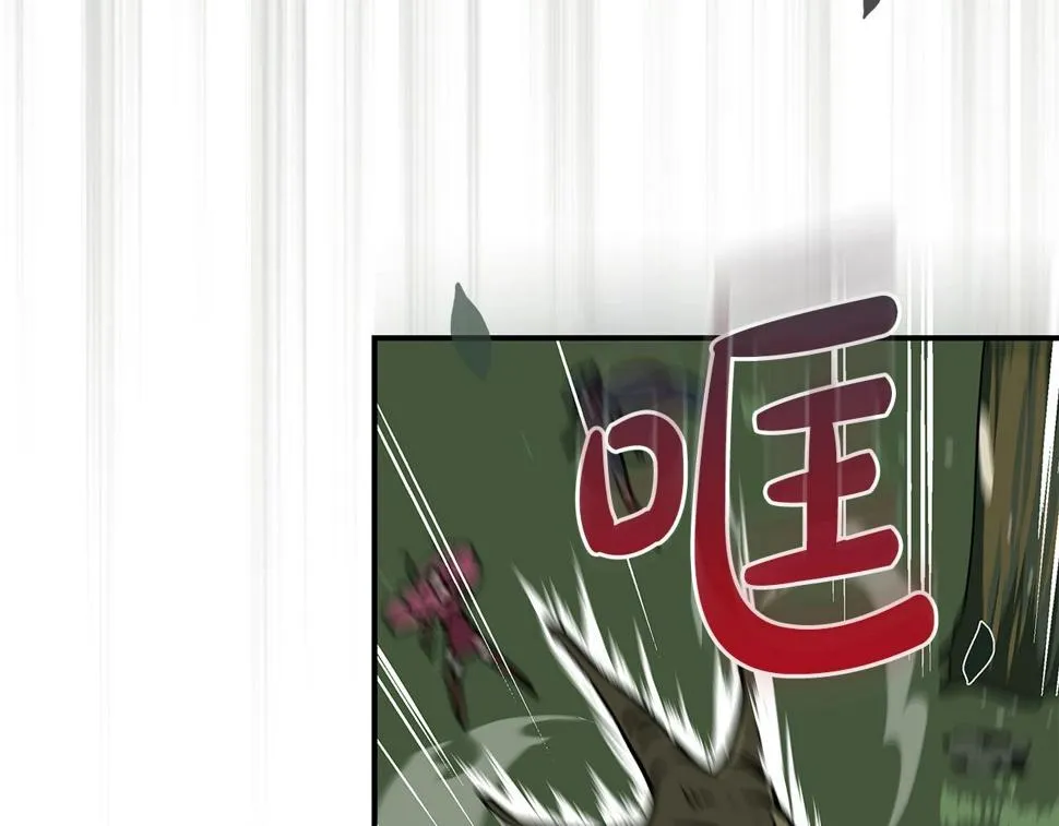第36话 精灵引路 第147页