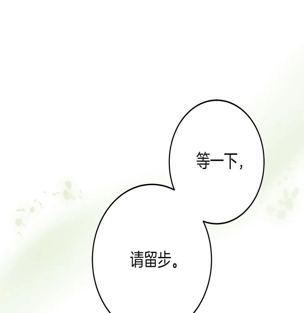 第36话 精灵引路 第167页