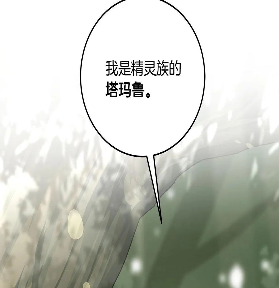 第36话 精灵引路 第172页
