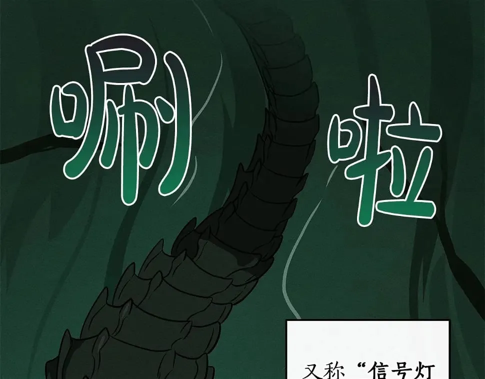 第32话 开启直播 第187页