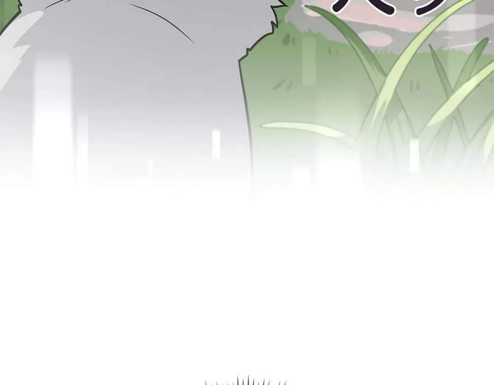 第37话 再次直播 第4页