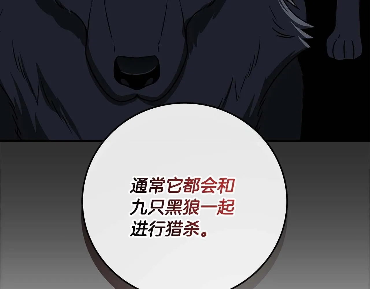 第70话 暗夜森林 第13页