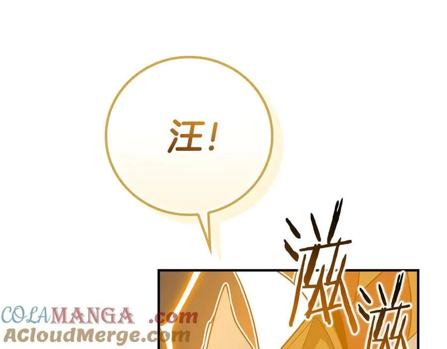 第98话 新篇章 沙漠之旅开启 第213页