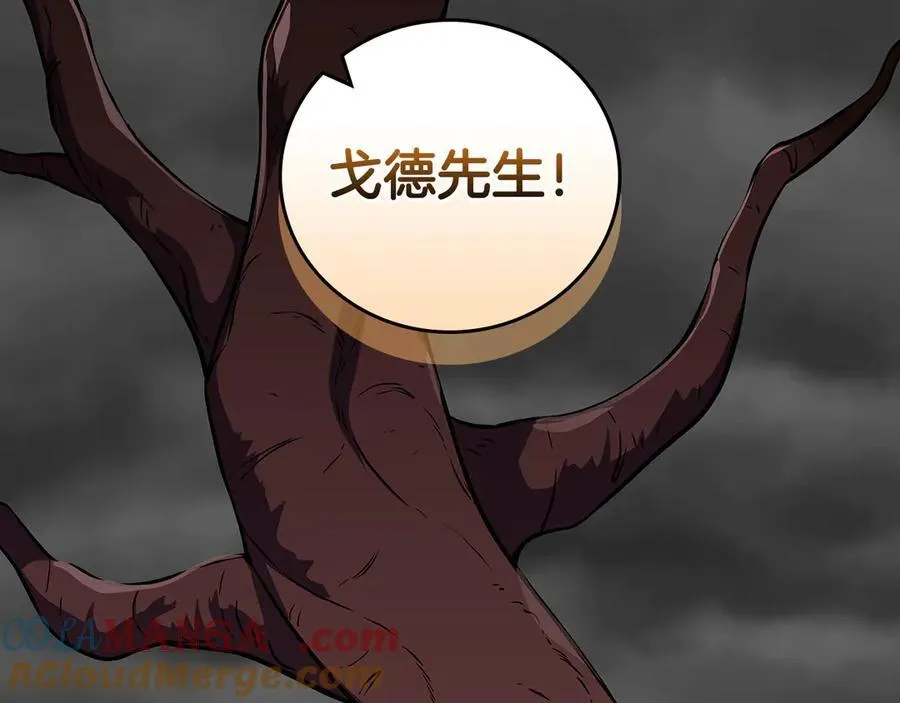 第123话 没有什么比物理魔法更直接的了 第5页