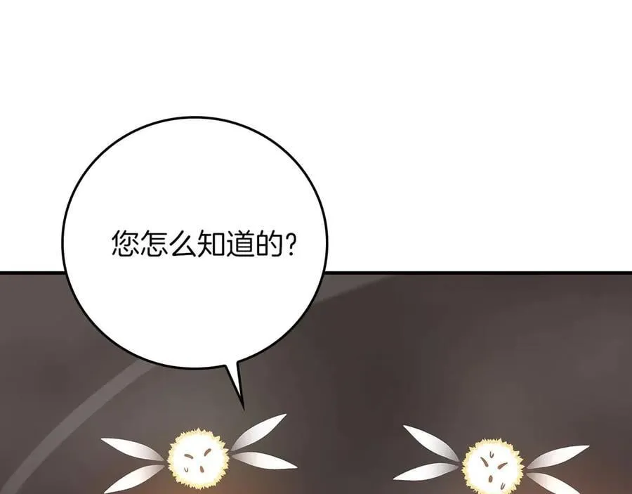 第123话 没有什么比物理魔法更直接的了 第182页