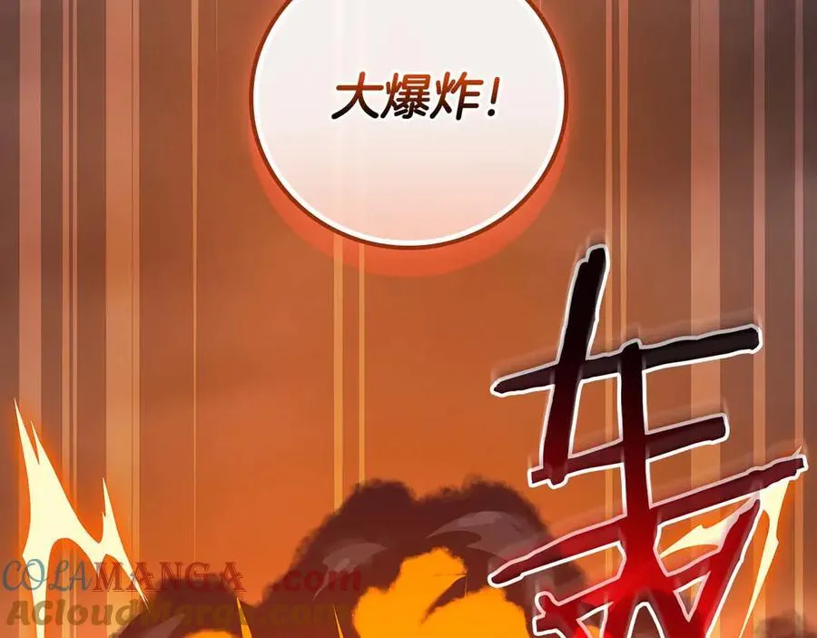 第123话 没有什么比物理魔法更直接的了 第233页