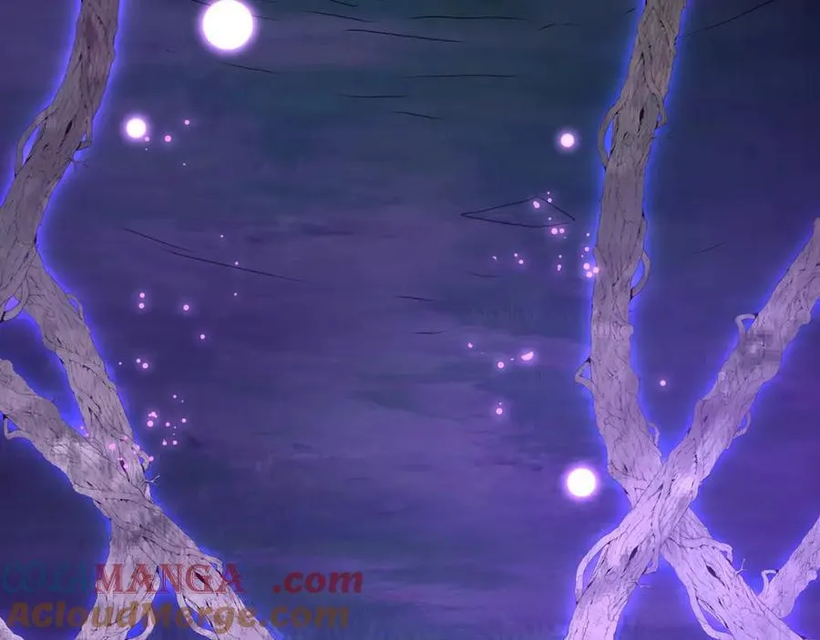 第213话 暗夜精灵一族的诅咒！ 第13页