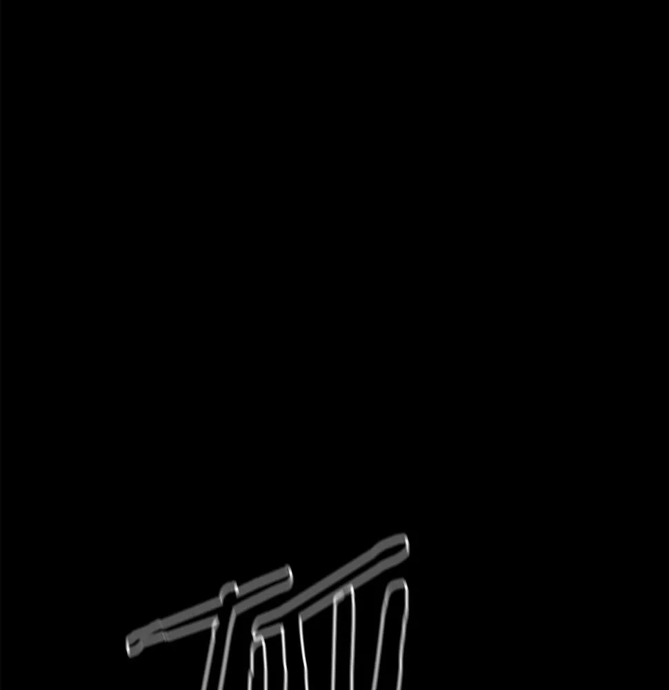 完结话 落幕 第215页