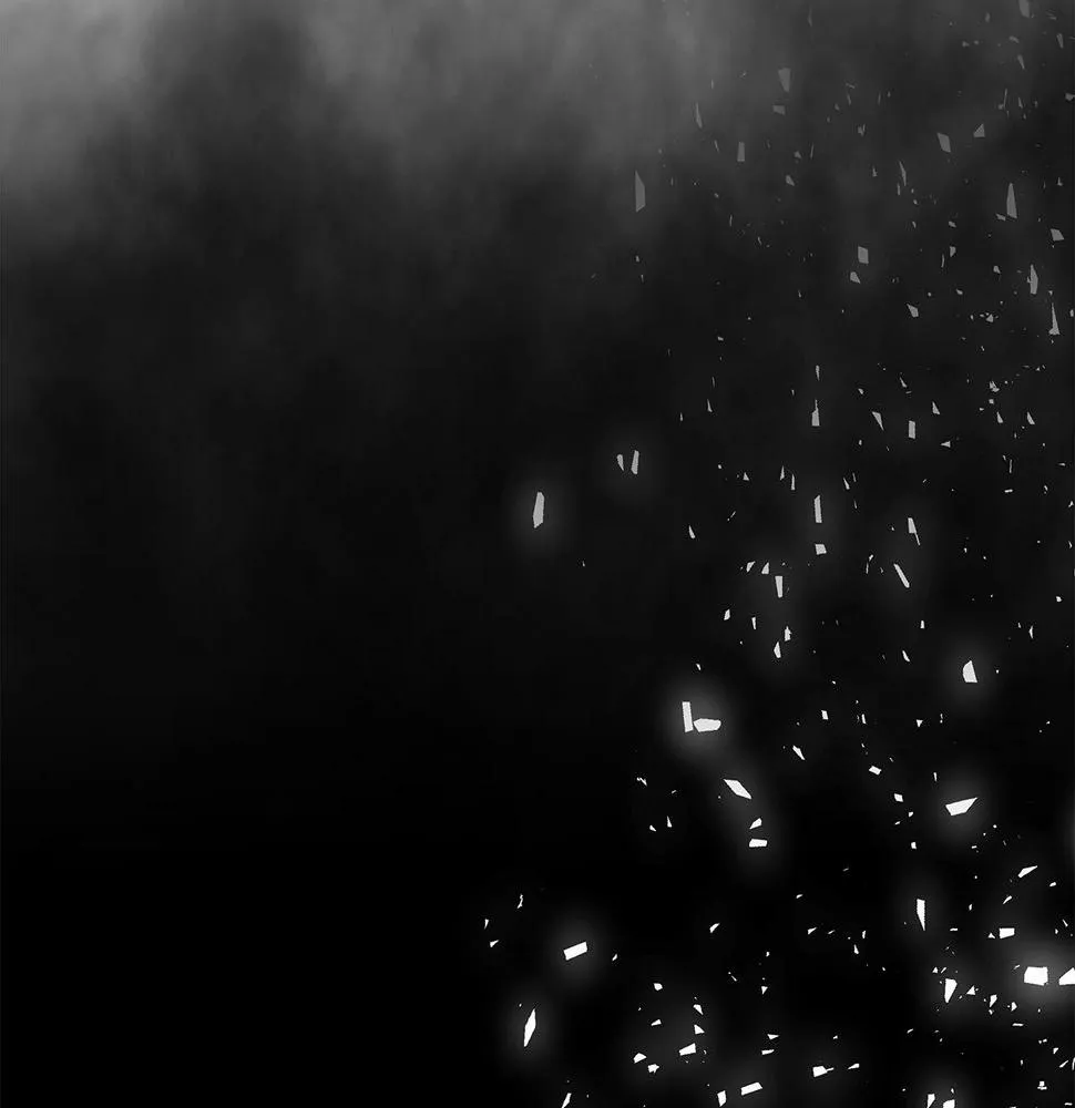 完结话 落幕 第314页